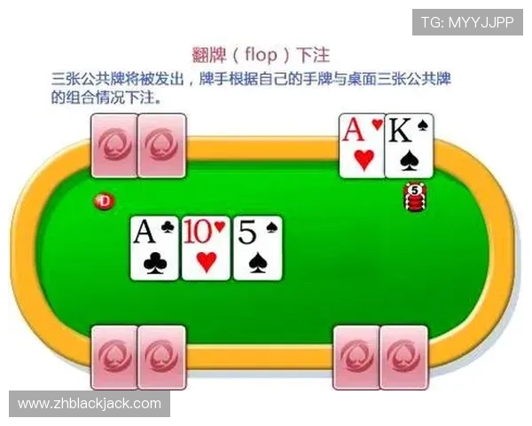 二十一点最佳策略图帮助玩家提升胜率的详细指南 二十一点最佳策略图帮助玩家提升胜率的详细指南